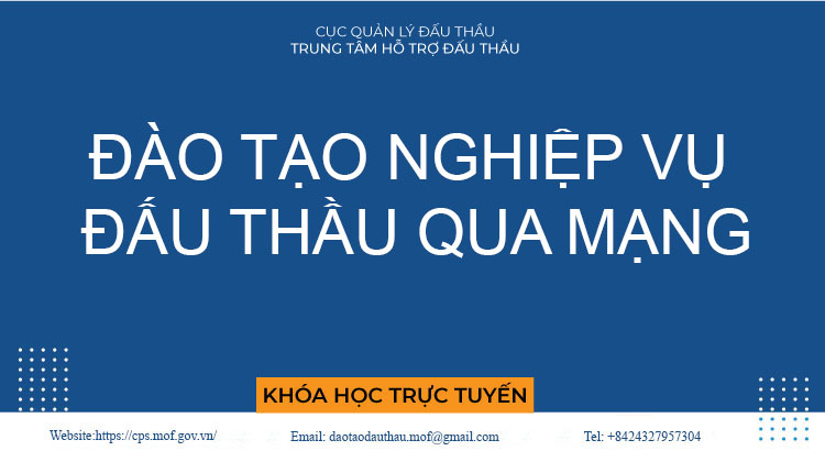 Đấu thầu qua mạng